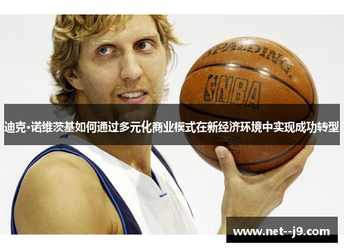 迪克·诺维茨基如何通过多元化商业模式在新经济环境中实现成功转型